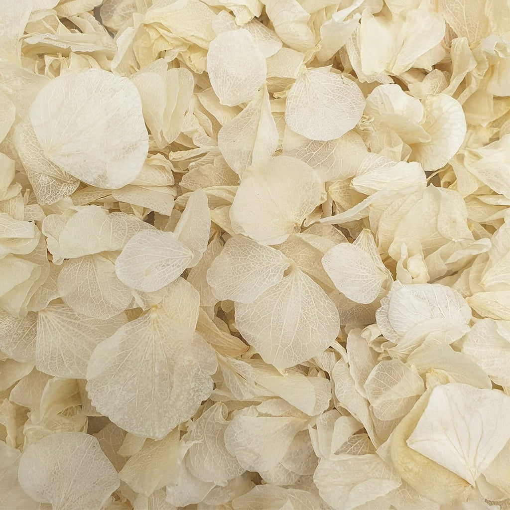 Vintage Ivory Hydrangea Petals + Clear Packet Bundle - Confetti Bee