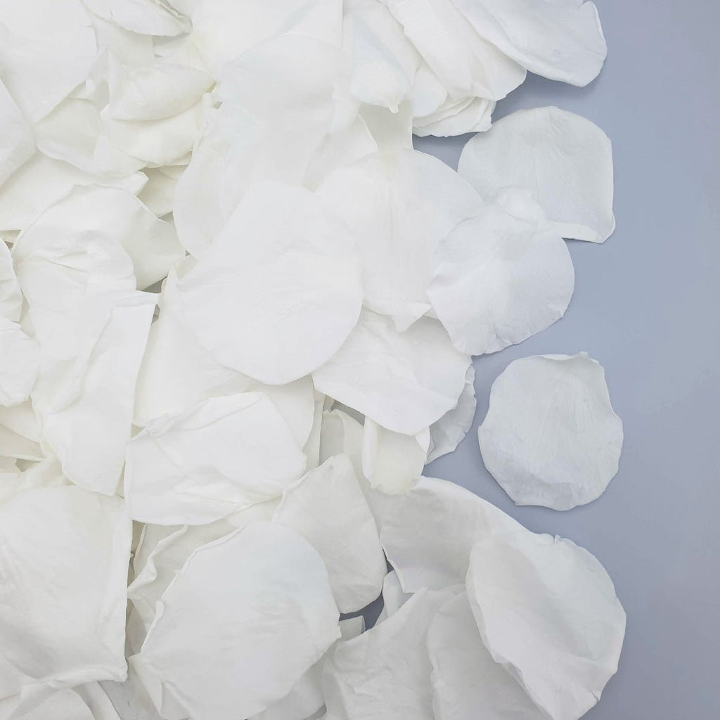 White Rose Petals - Confetti Bee
