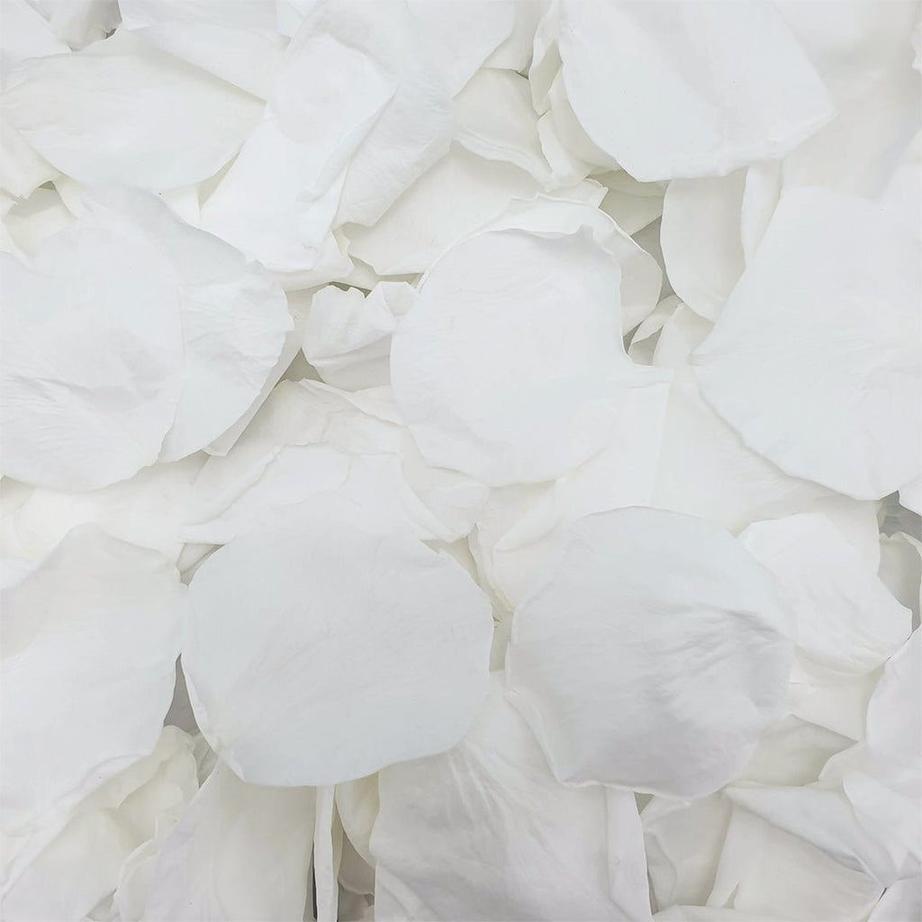 White Rose Petals - Confetti Bee