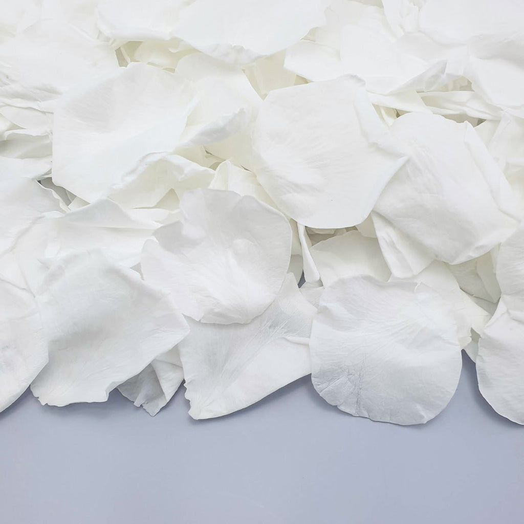 White Rose Petals - Confetti Bee
