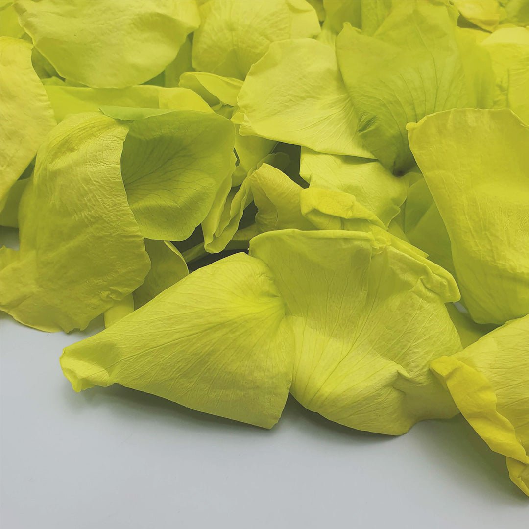Yellow Green Rose Petals Confetti | Wedding Confetti | Confetti Bee