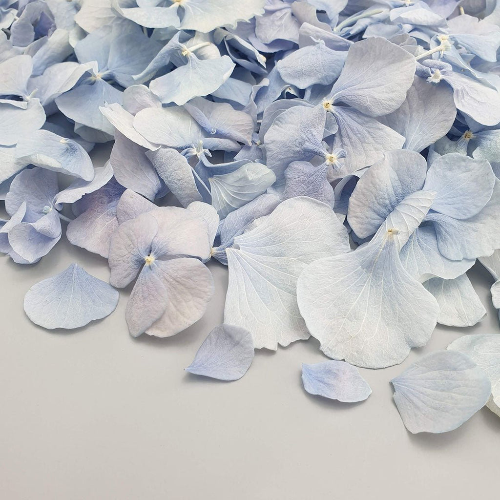 Blue Hydrangea Petals - Confetti Bee