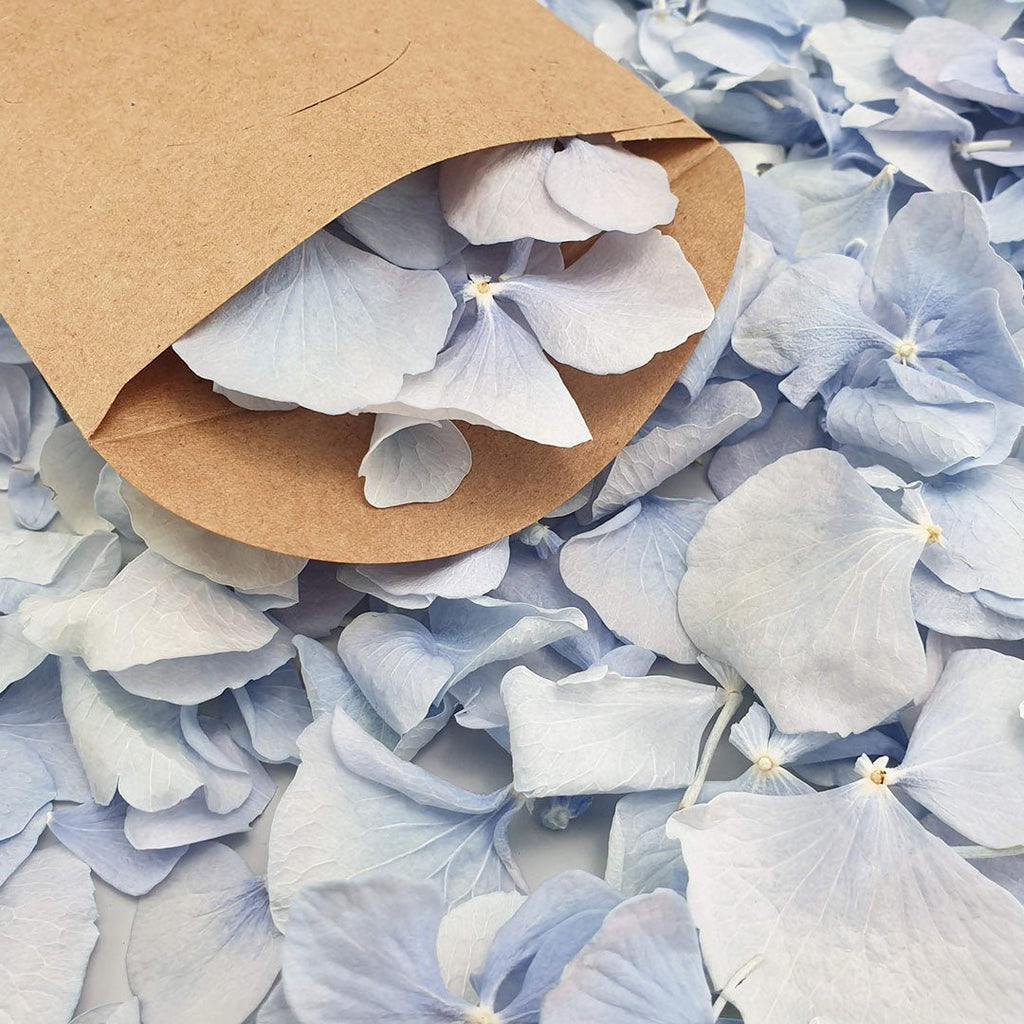 Blue Hydrangea Petals - Confetti Bee