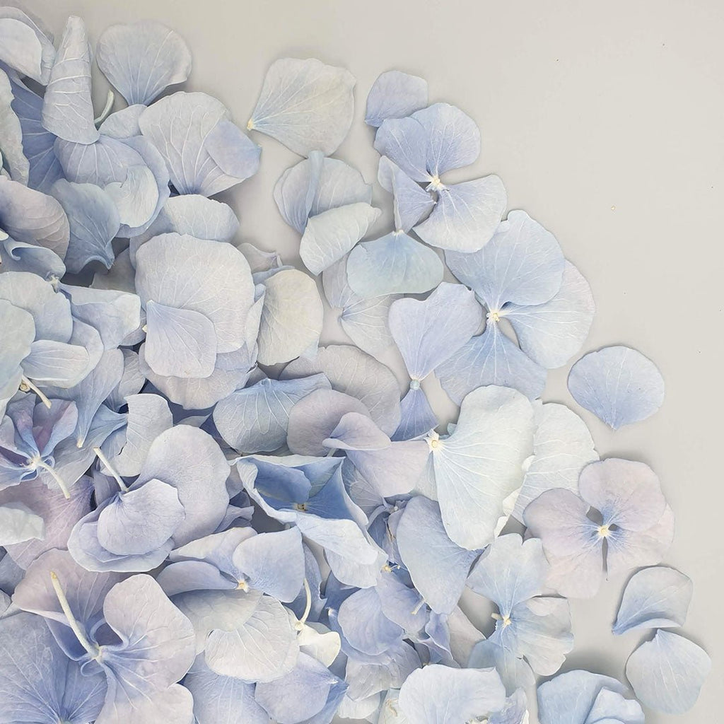 Blue Hydrangea Petals - Confetti Bee