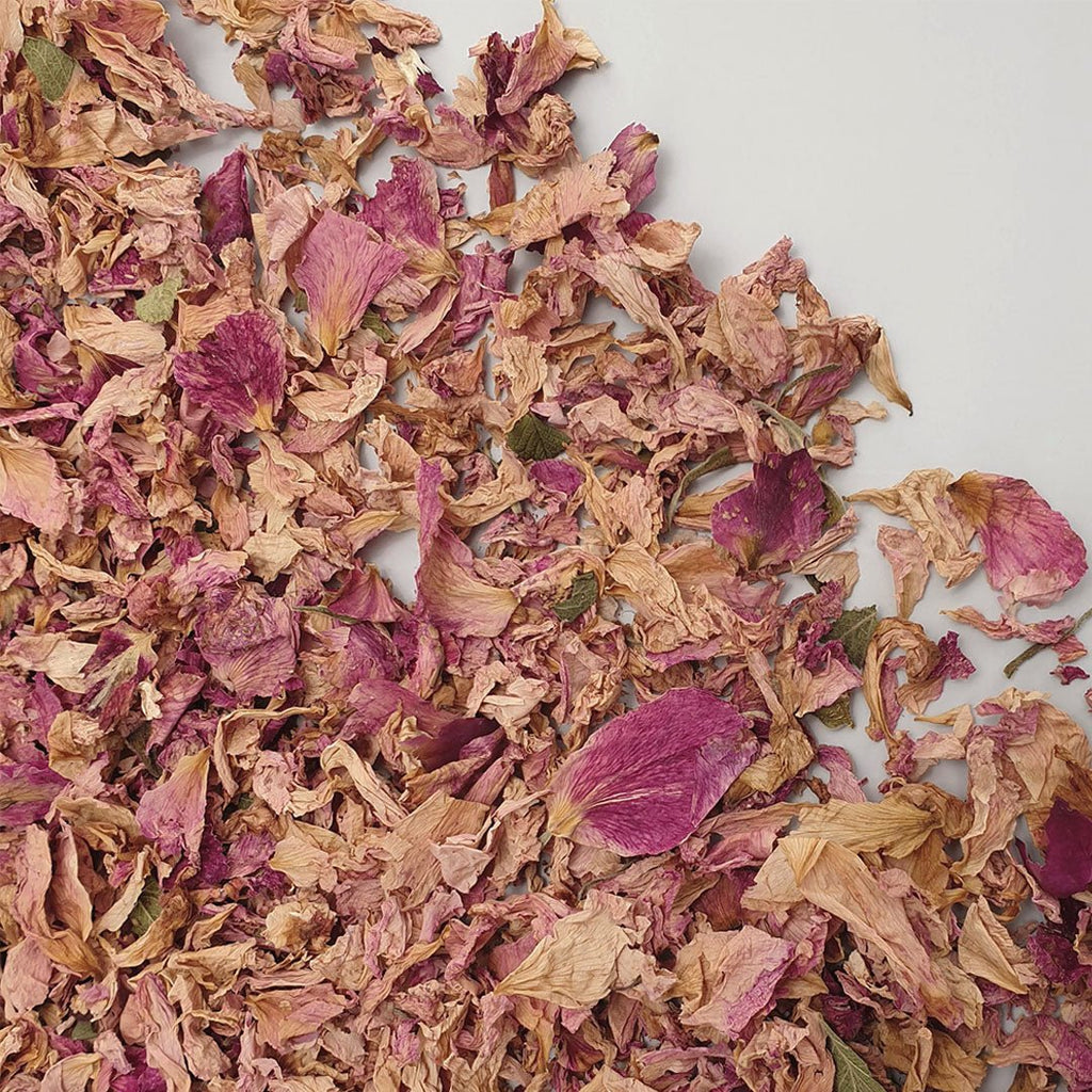 Blush Rose Petals - Confetti Bee