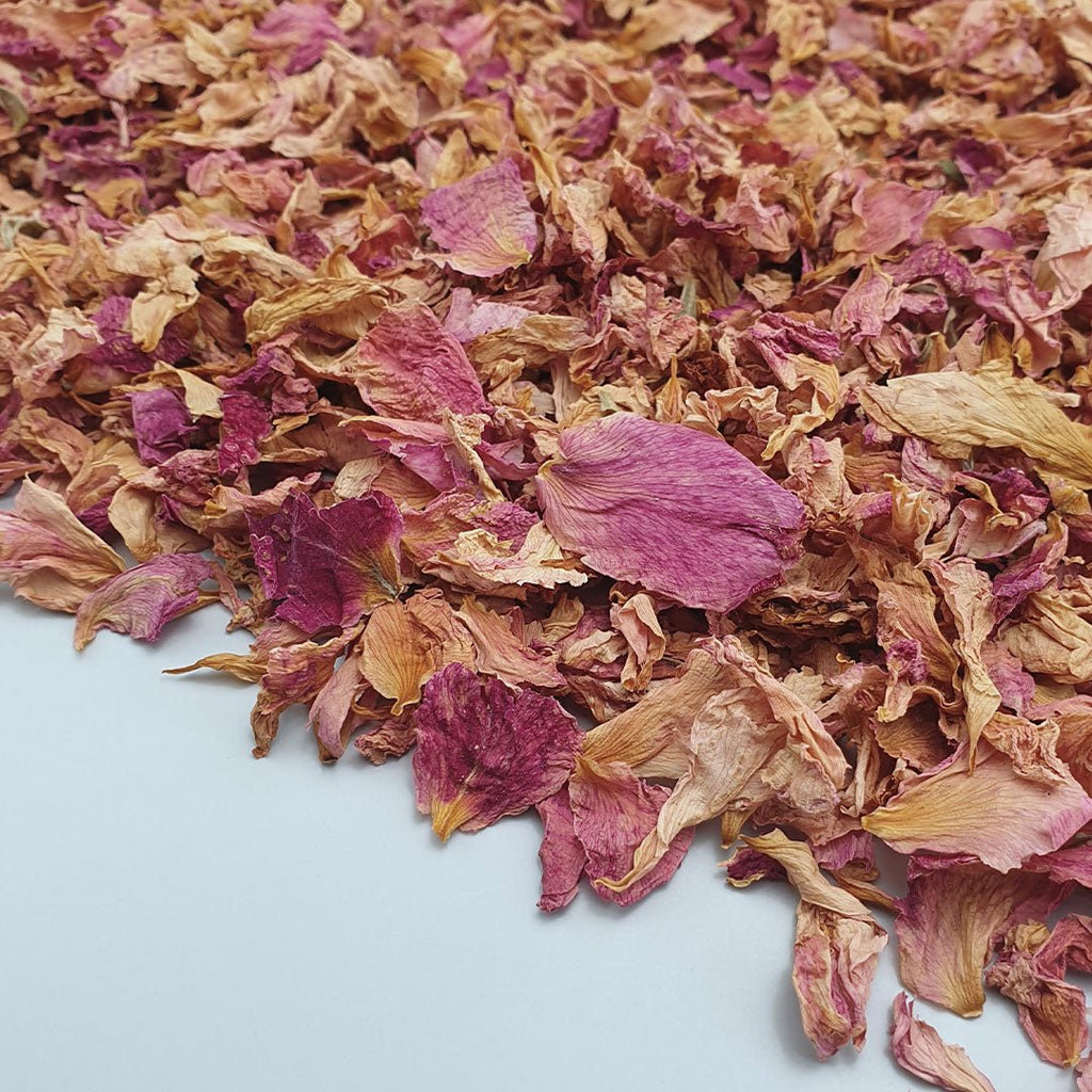 Blush Rose Petals - Confetti Bee