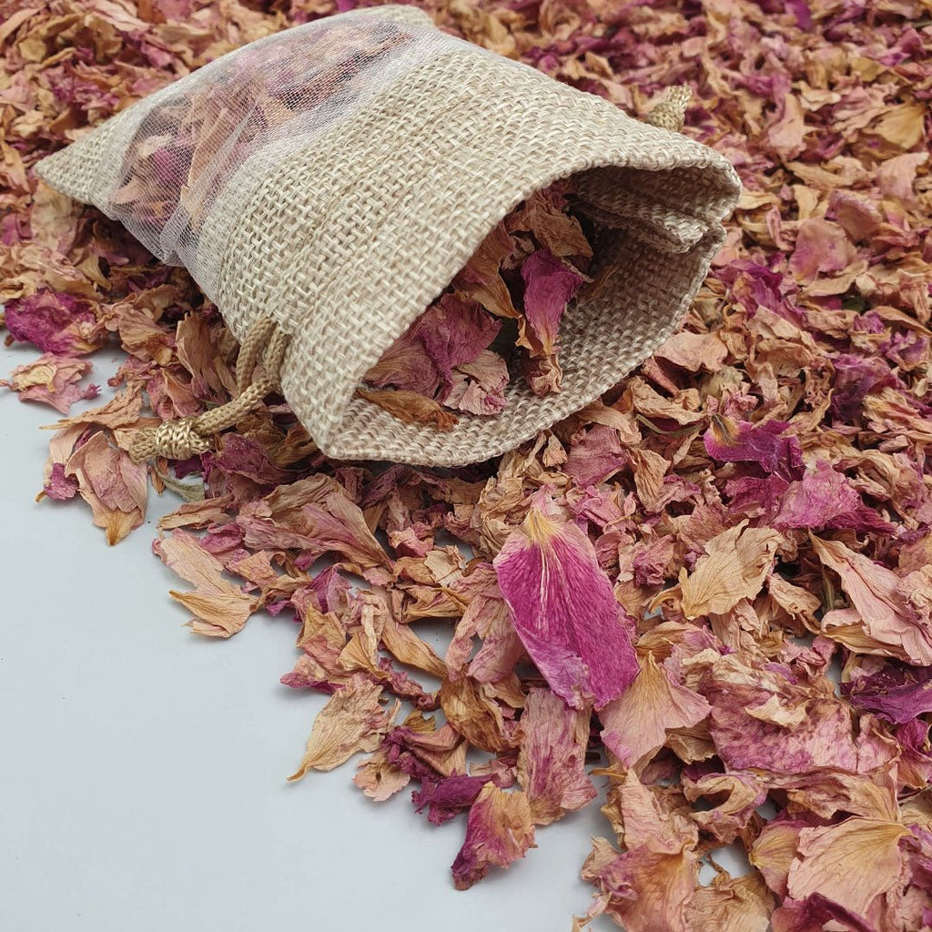 Blush Rose Petals - Confetti Bee