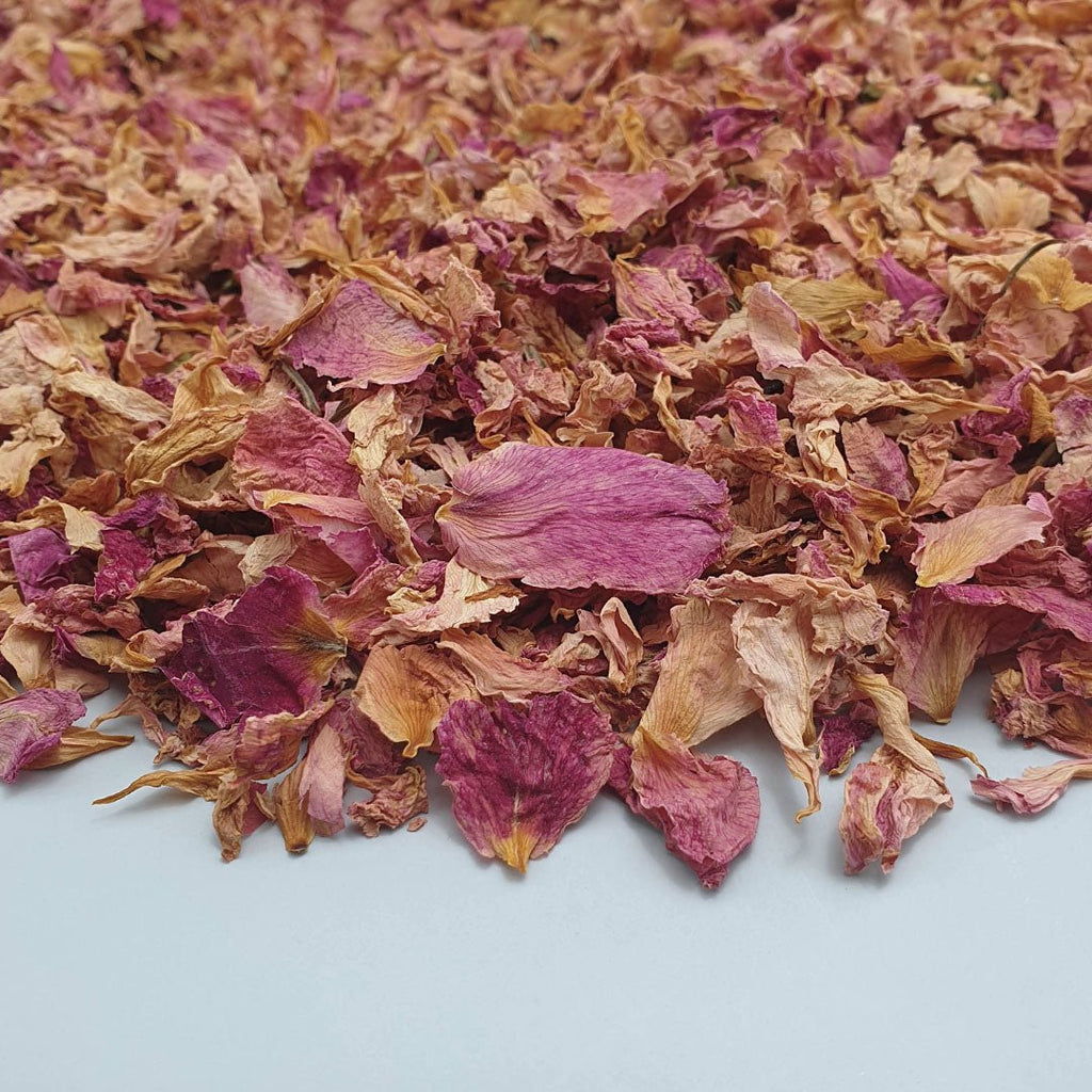 Blush Rose Petals - Confetti Bee