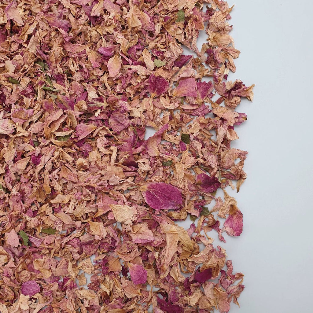 Blush Rose Petals - Confetti Bee