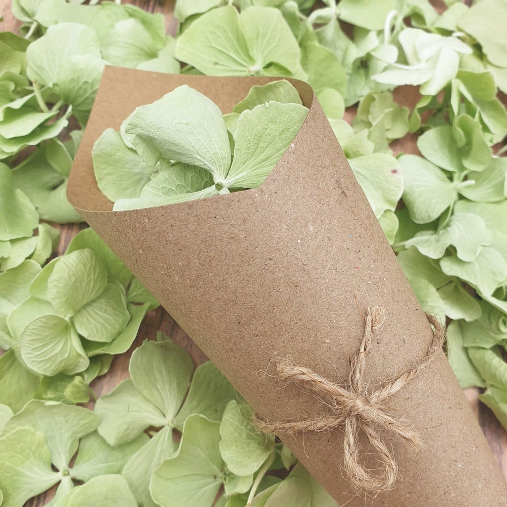 Confetti Cones and Holder - Kraft Brown - Confetti Bee