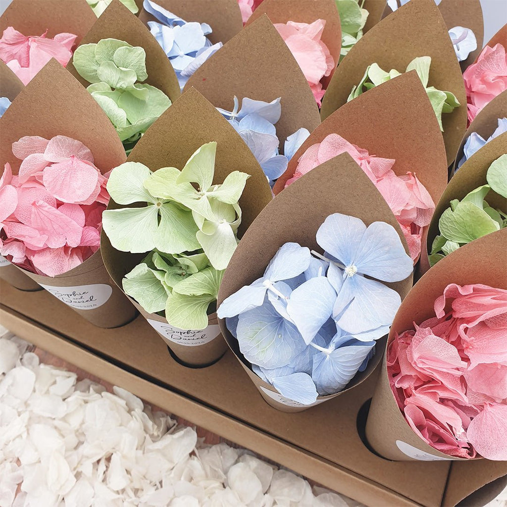 Confetti Cones and Holder - Kraft Brown - Confetti Bee