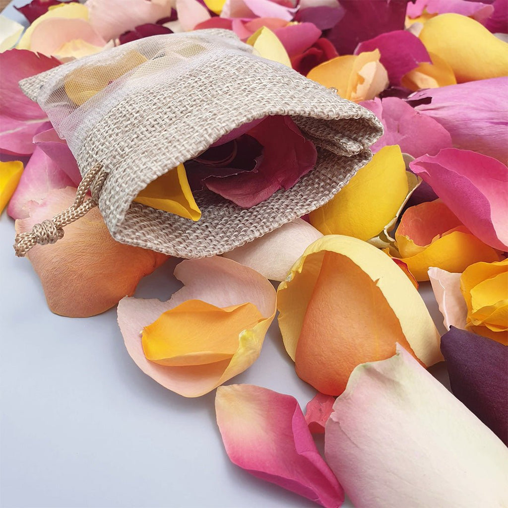 Fiesta Rose Petals - Confetti Bee