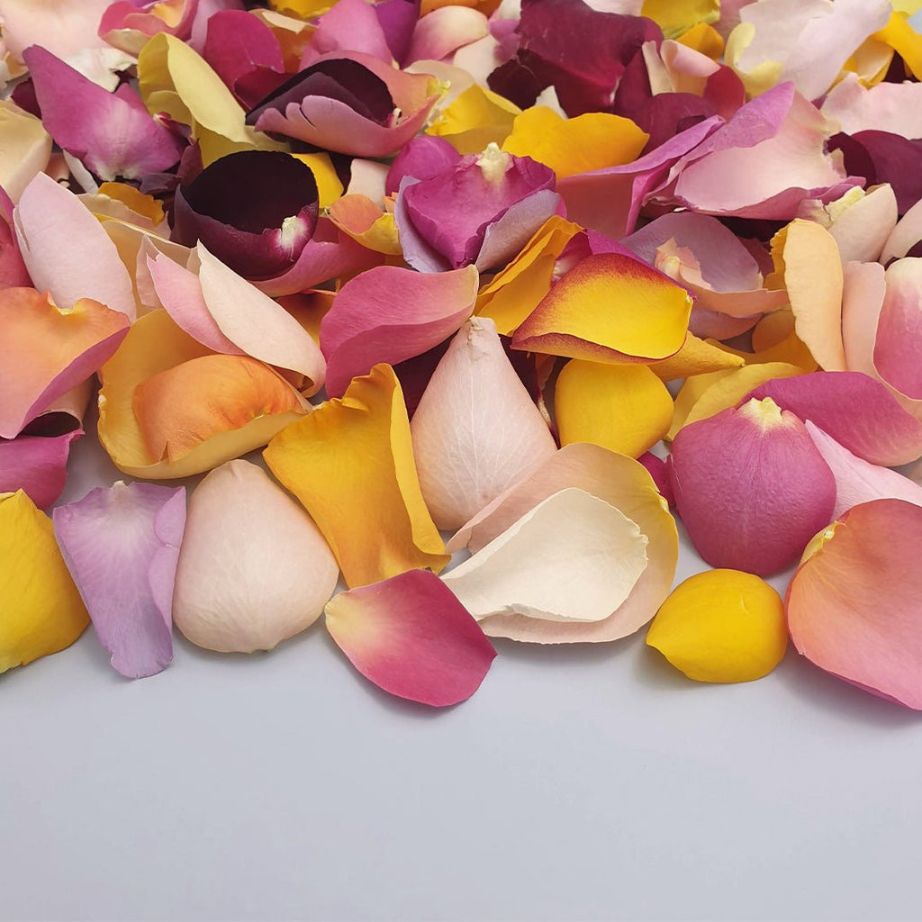 Fiesta Rose Petals - Confetti Bee