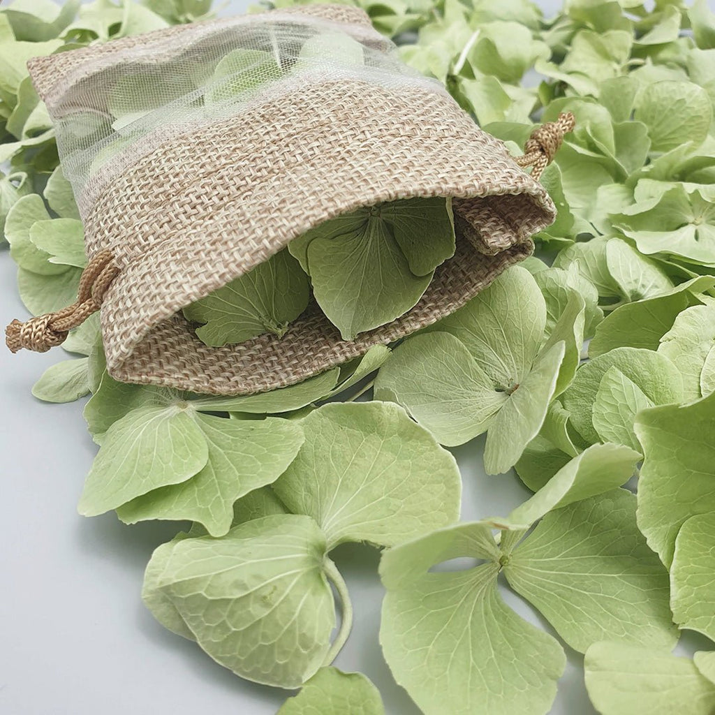 Green Hydrangea Petals - Confetti Bee