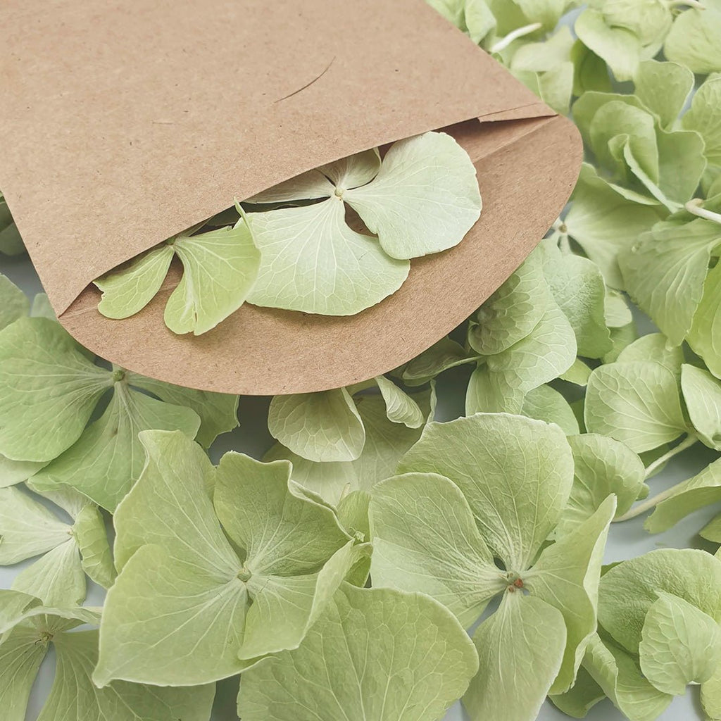 Green Hydrangea Petals - Confetti Bee