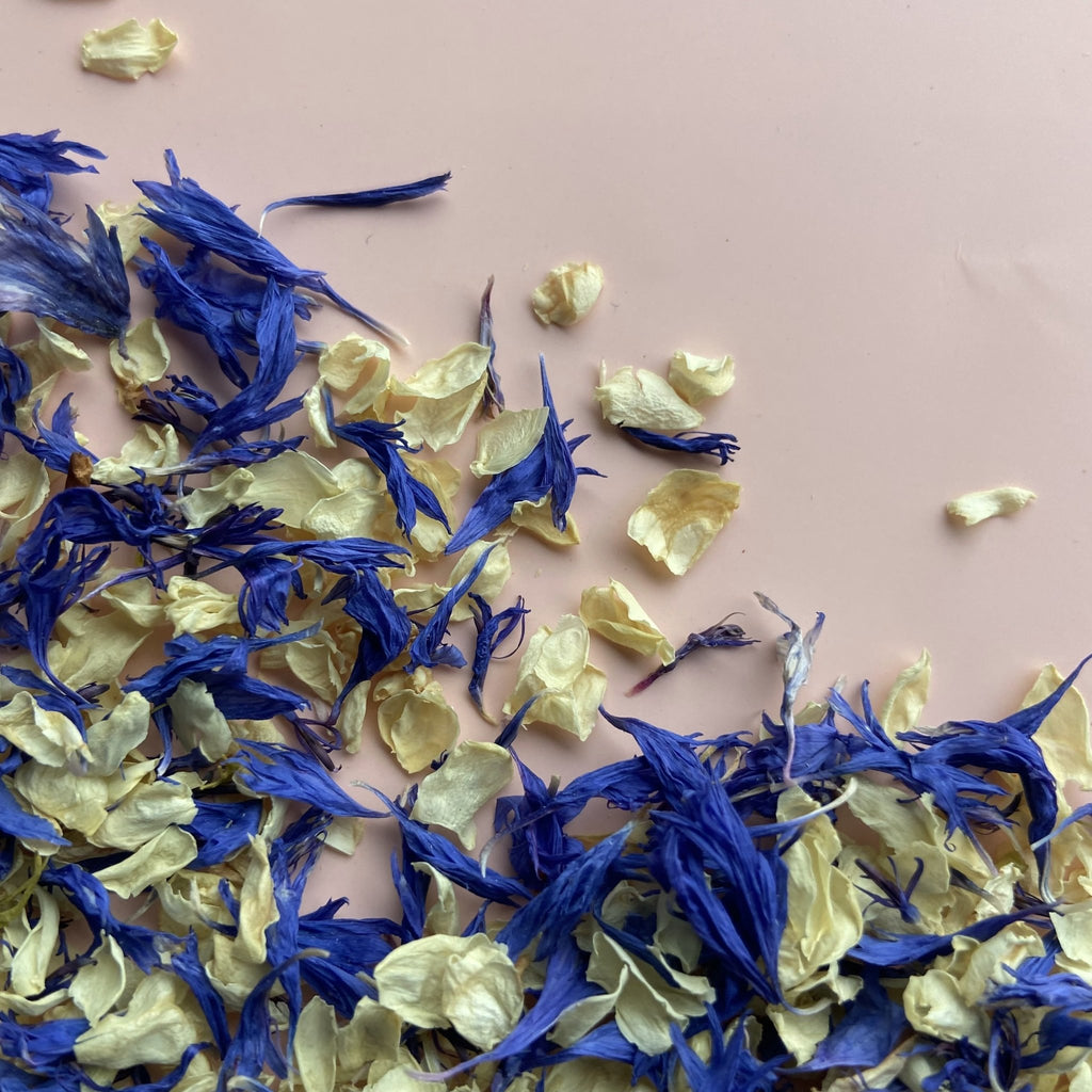 Indigo Daydream Confetti - Confetti Bee