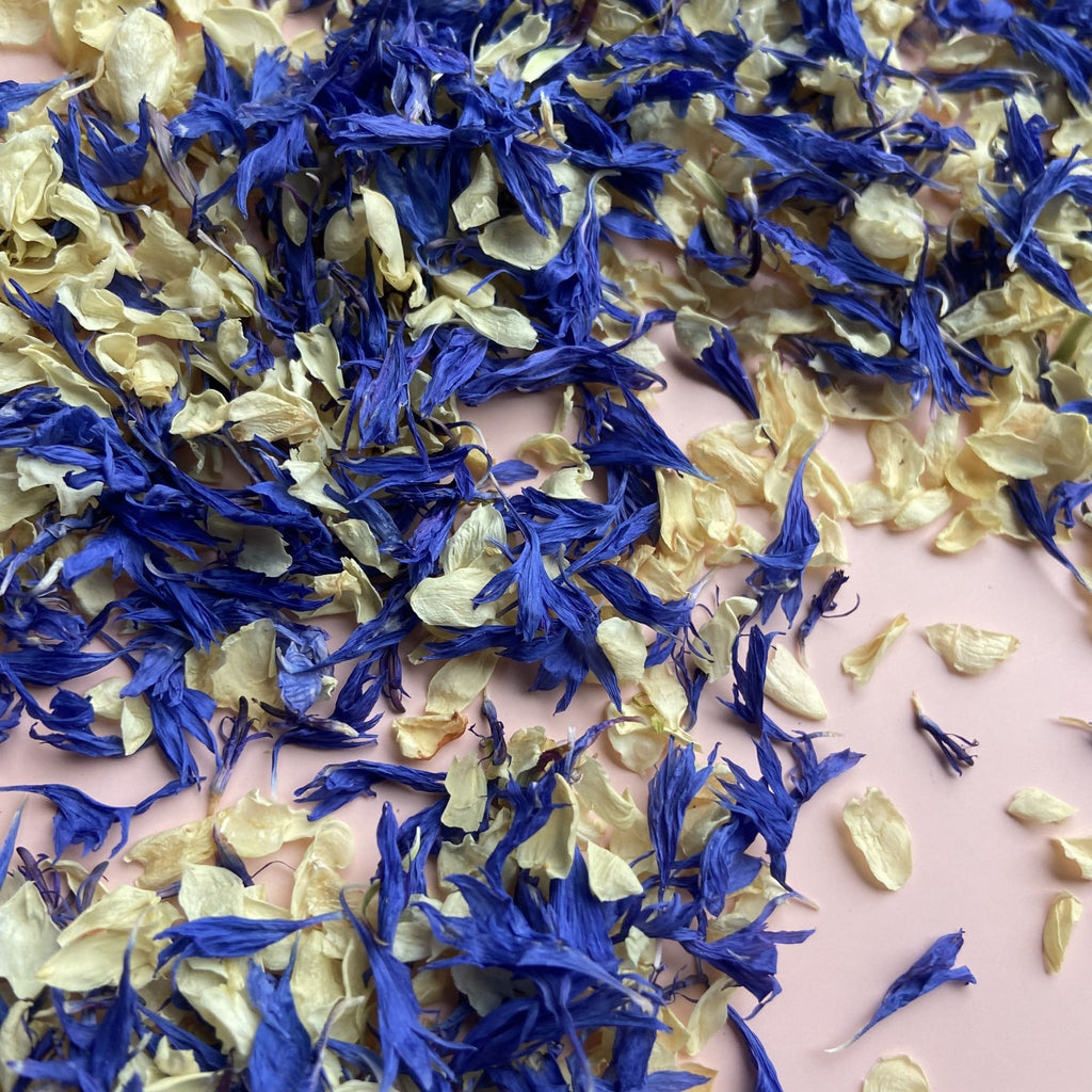 Indigo Daydream Confetti - Confetti Bee