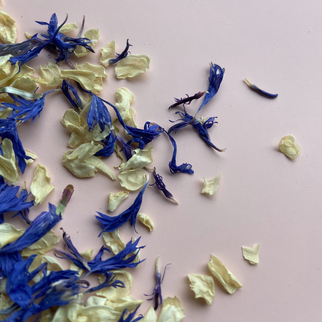 Indigo Daydream Confetti - Confetti Bee