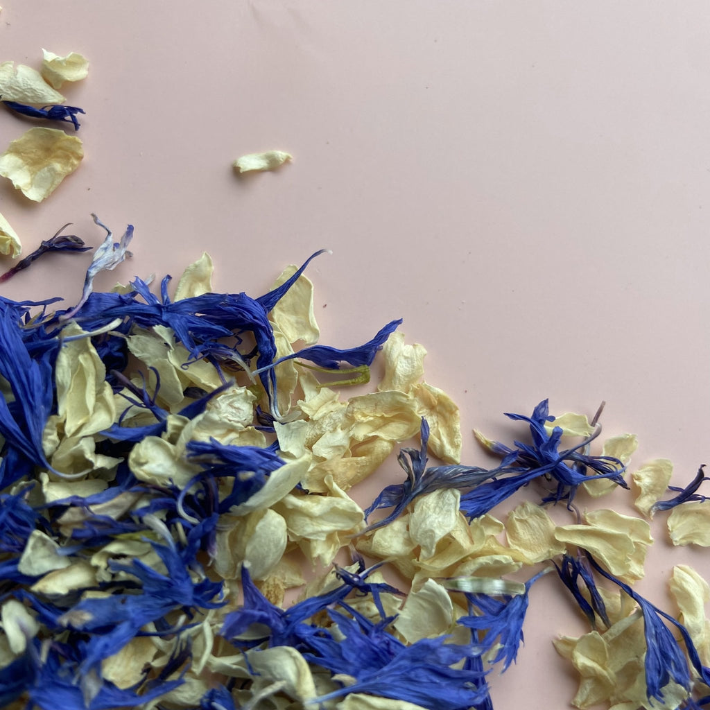 Indigo Daydream Confetti - Confetti Bee