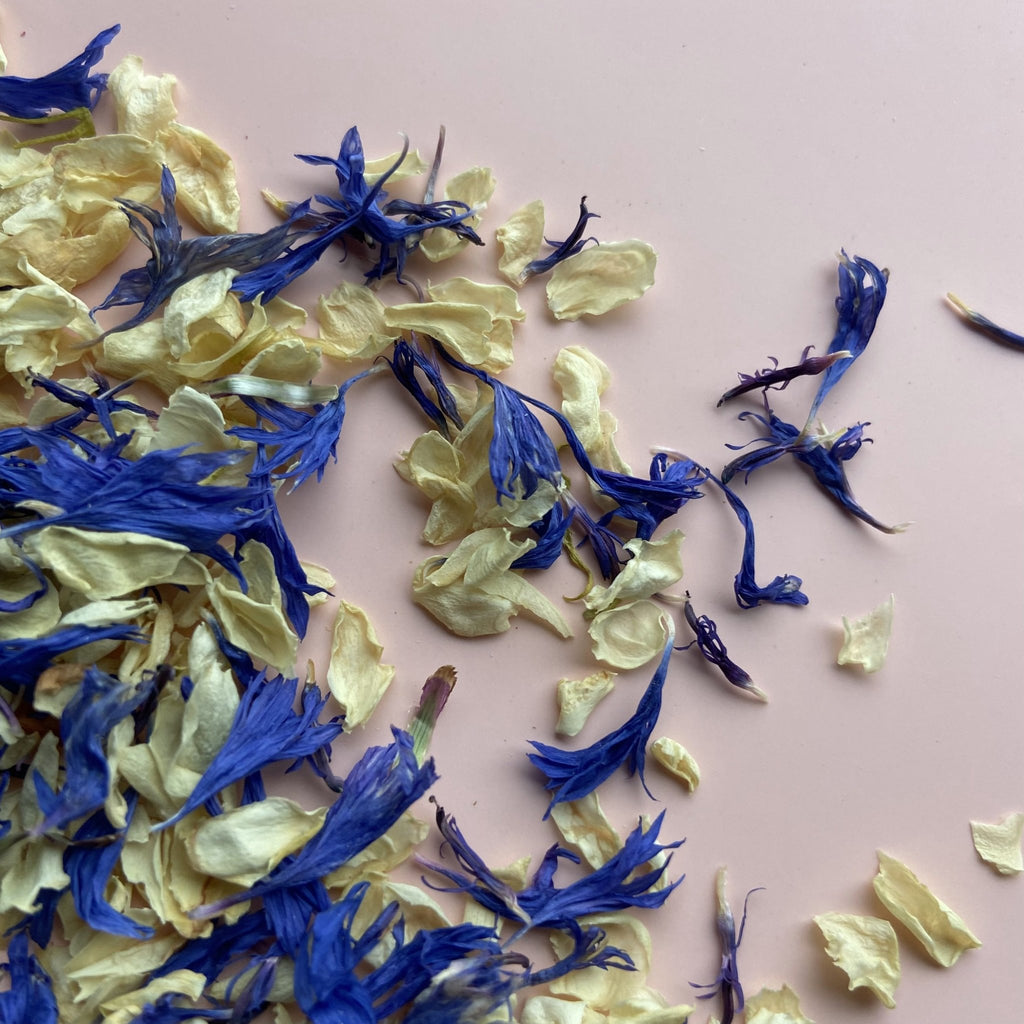 Indigo Daydream Confetti - Confetti Bee