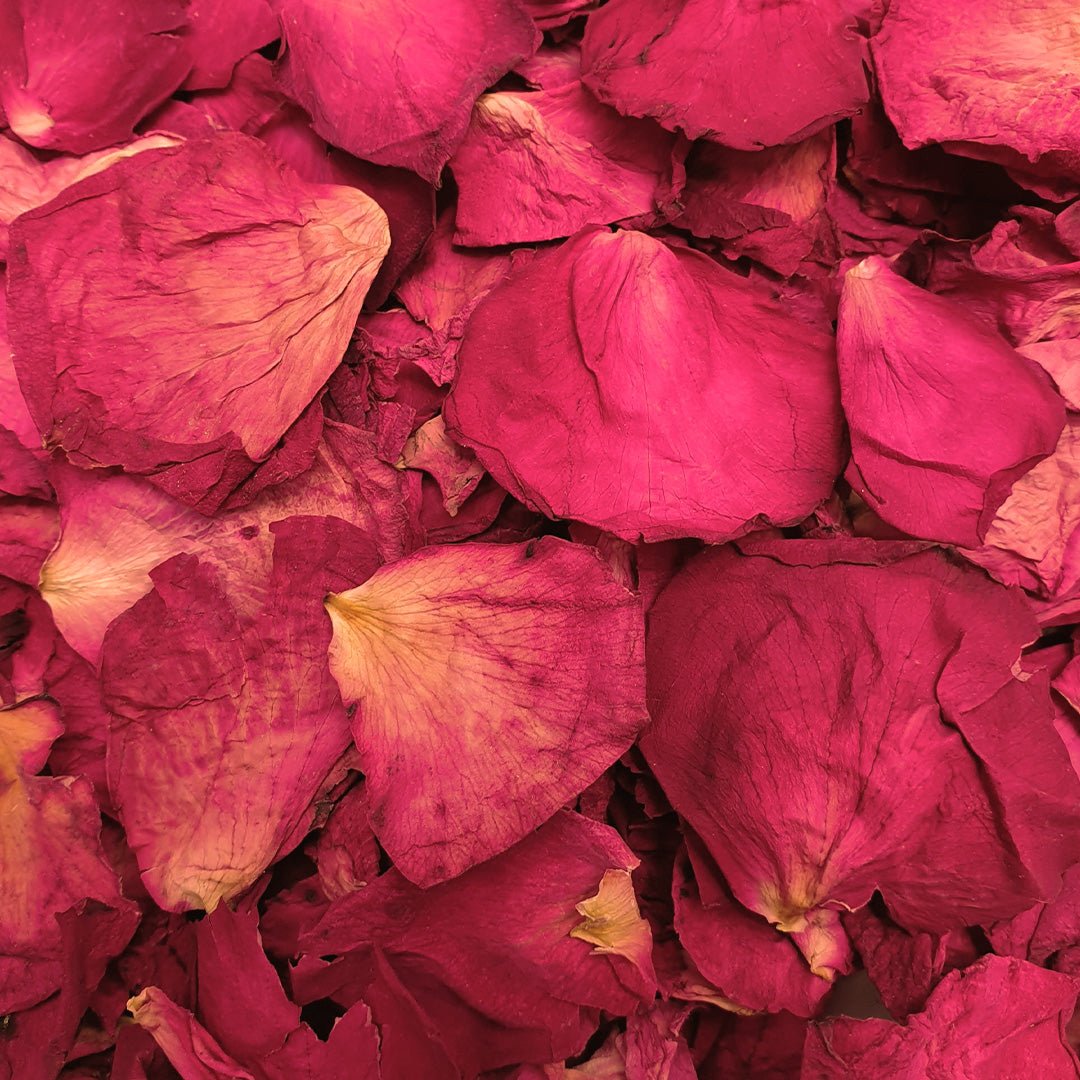 Large Rose Petal Confetti Wedding Confetti Confetti Bee