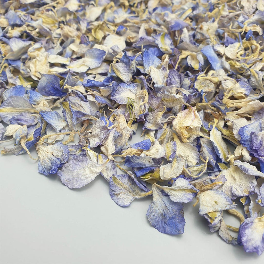 Light Blue Delphinium Petal Confetti - Confetti Bee