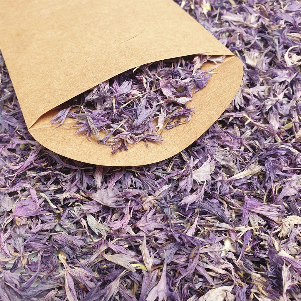 Lilac Cornflower Petal Confetti - Confetti Bee