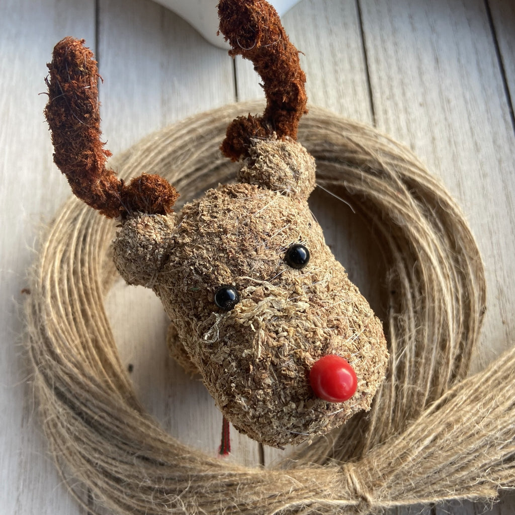 Pair Of Moss Christmas Reindeer - Confetti Bee