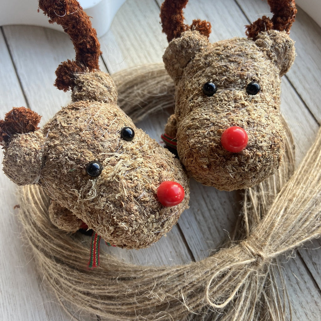 Pair Of Moss Christmas Reindeer - Confetti Bee