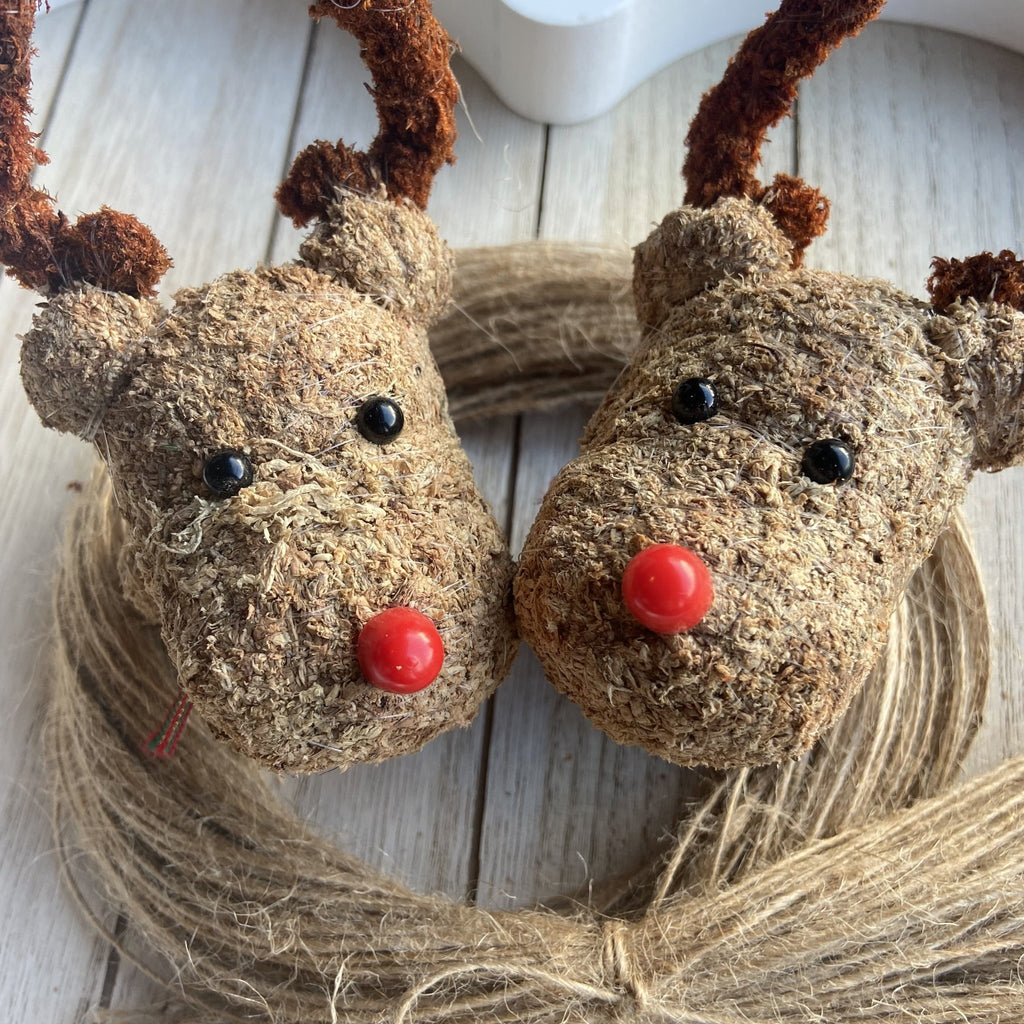 Pair Of Moss Christmas Reindeer - Confetti Bee