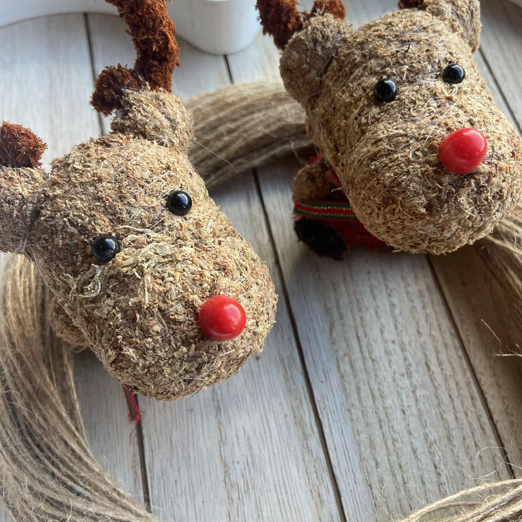 Pair Of Moss Christmas Reindeer - Confetti Bee