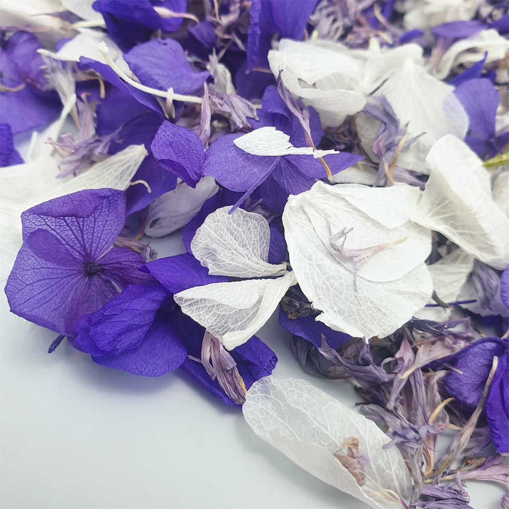 Parma Violet Confetti - Confetti Bee