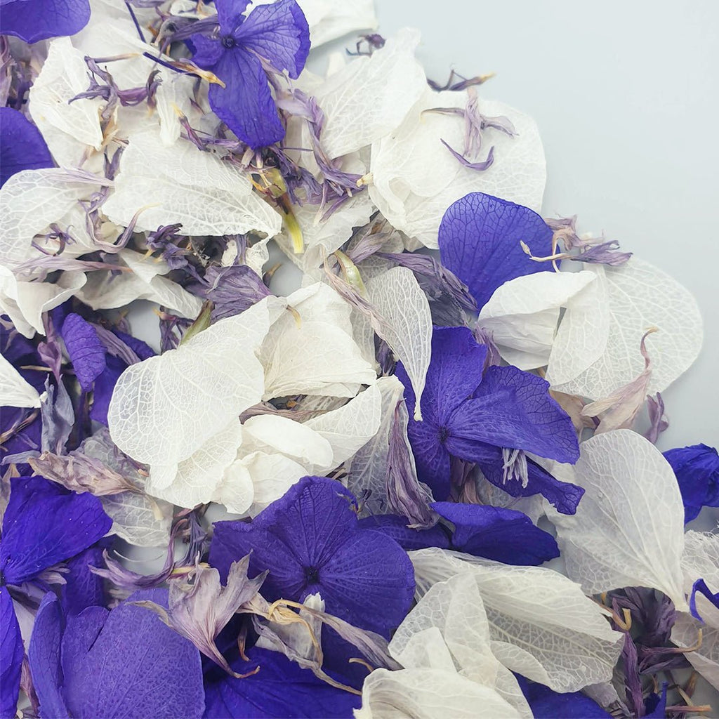 Parma Violet Confetti - Confetti Bee