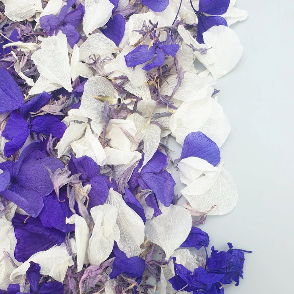 Parma Violet Confetti - Confetti Bee
