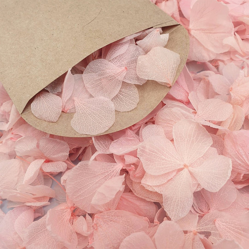 Pink Hydrangea Petals - Confetti Bee