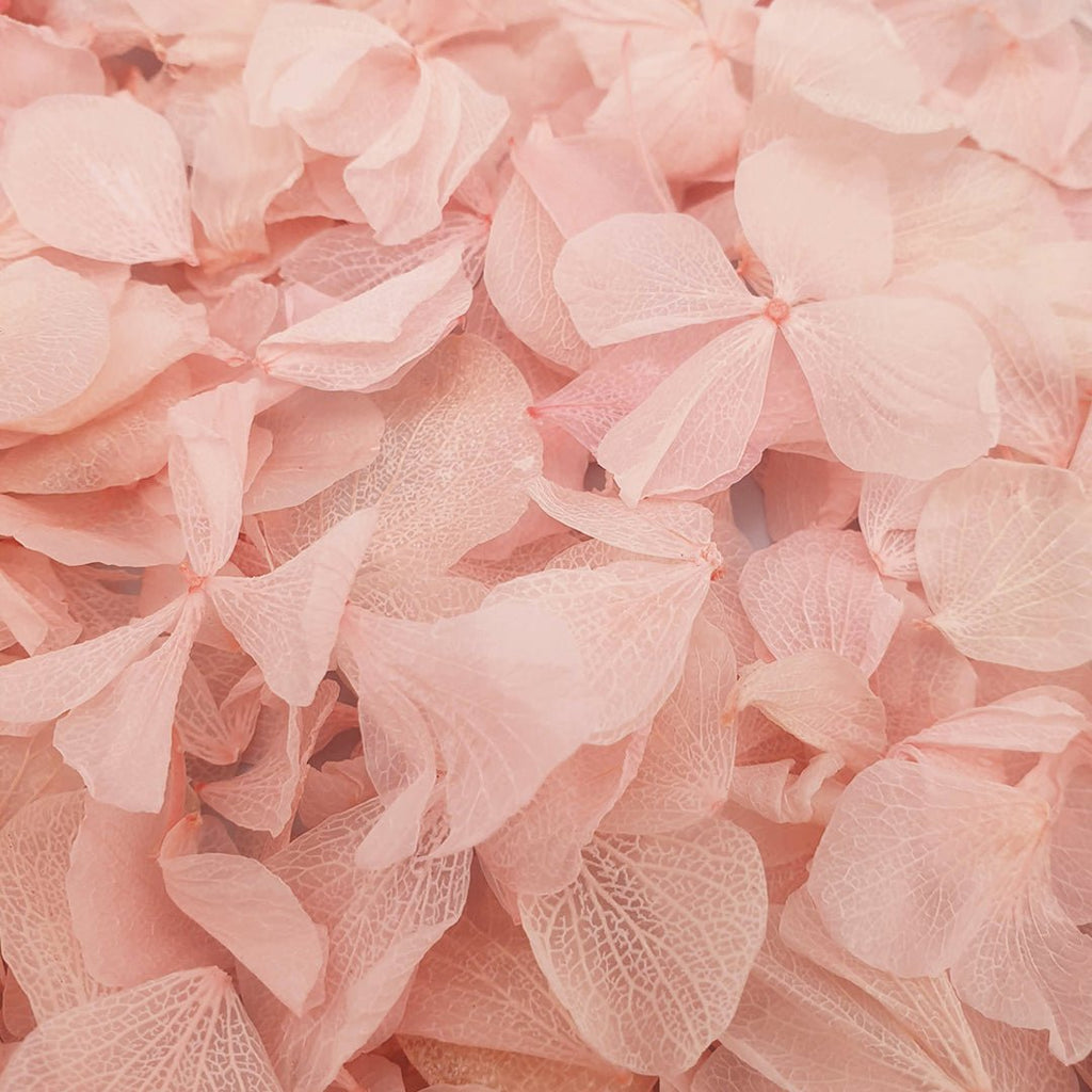 Pink Hydrangea Petals - Confetti Bee