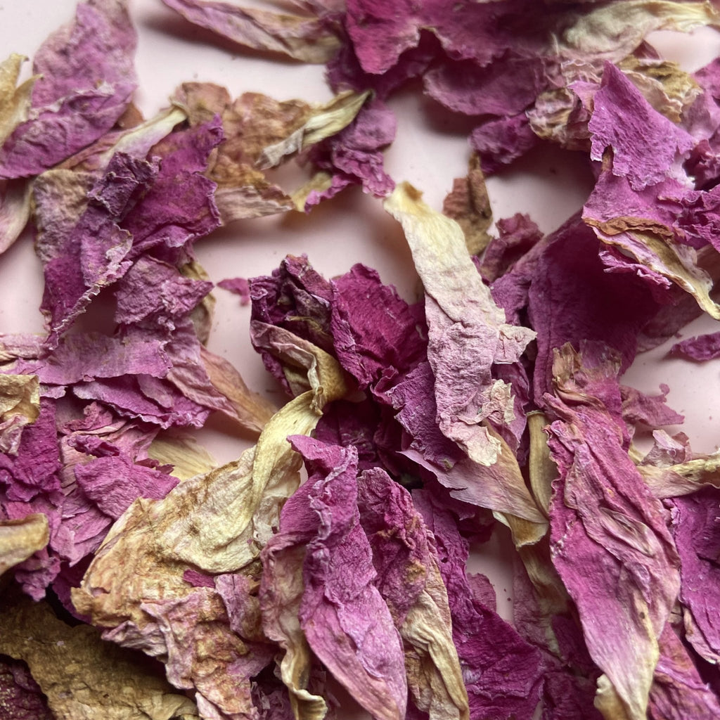 Pink Peony Petals - Confetti Bee