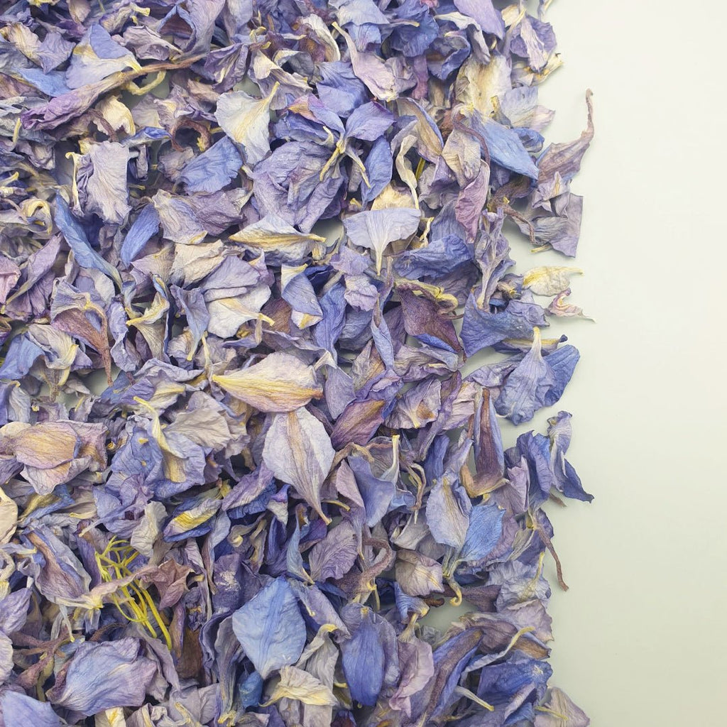 Purple Delphinium Petal Confetti - Confetti Bee