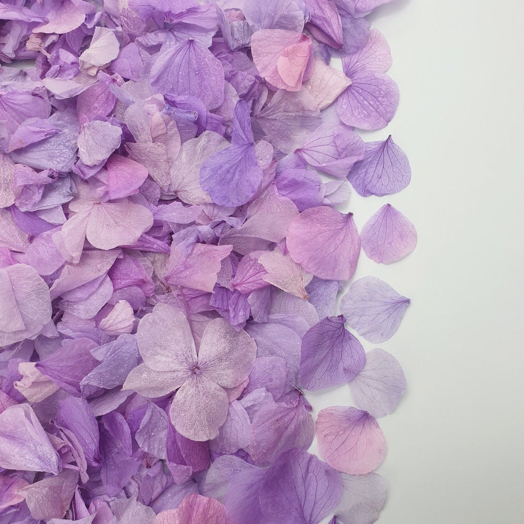 Purple Hydrangea Petals - Confetti Bee