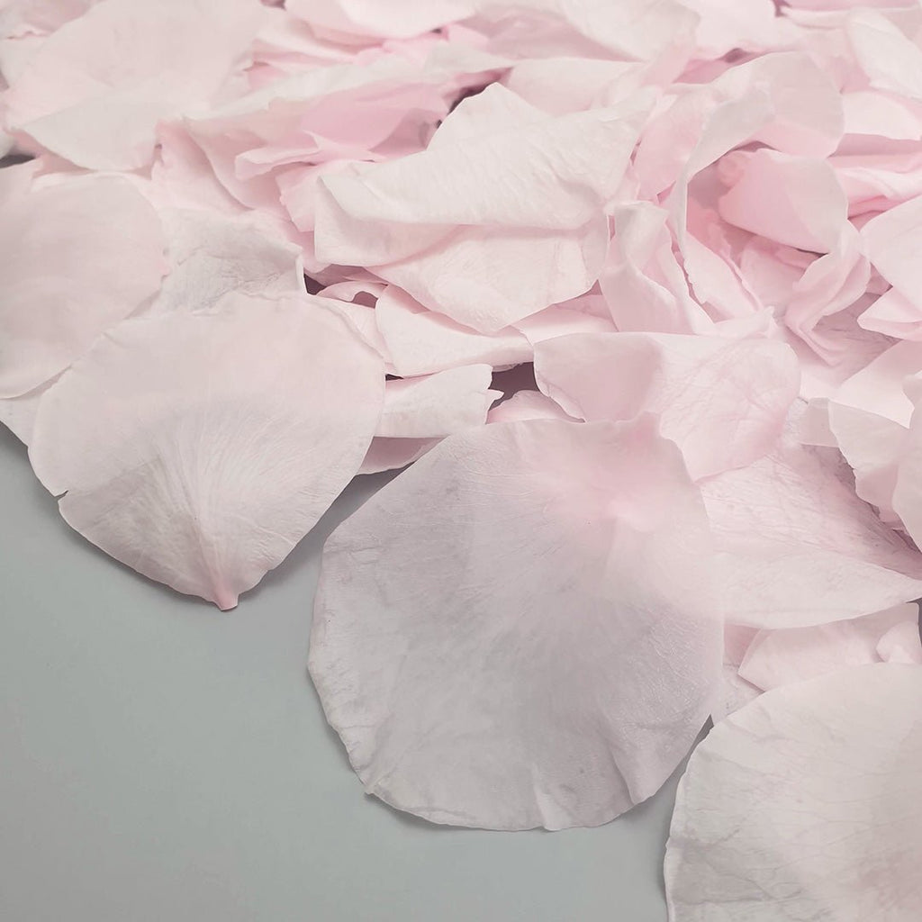 Soft Pink Rose Petals - Confetti Bee