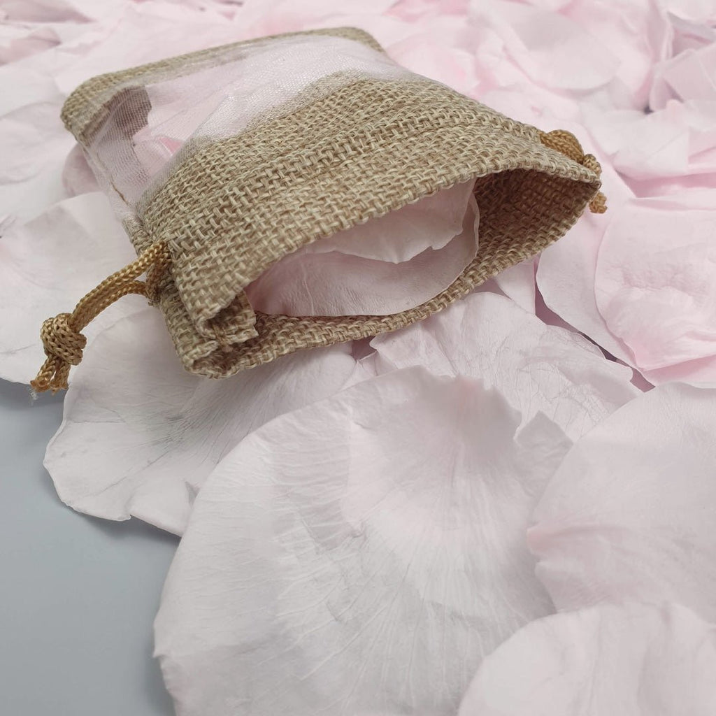 Soft Pink Rose Petals - Confetti Bee
