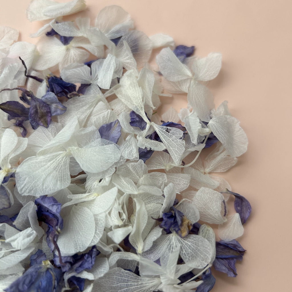 Sparkling Amethyst Confetti - Confetti Bee