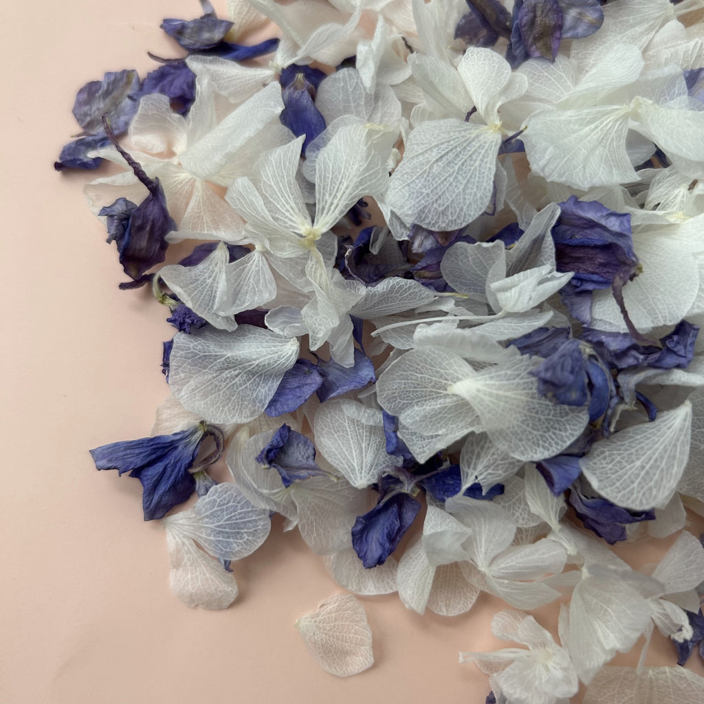 Sparkling Amethyst Confetti - Confetti Bee