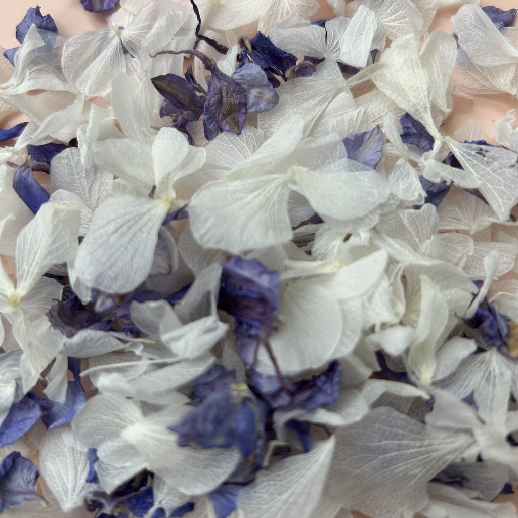 Sparkling Amethyst Confetti - Confetti Bee