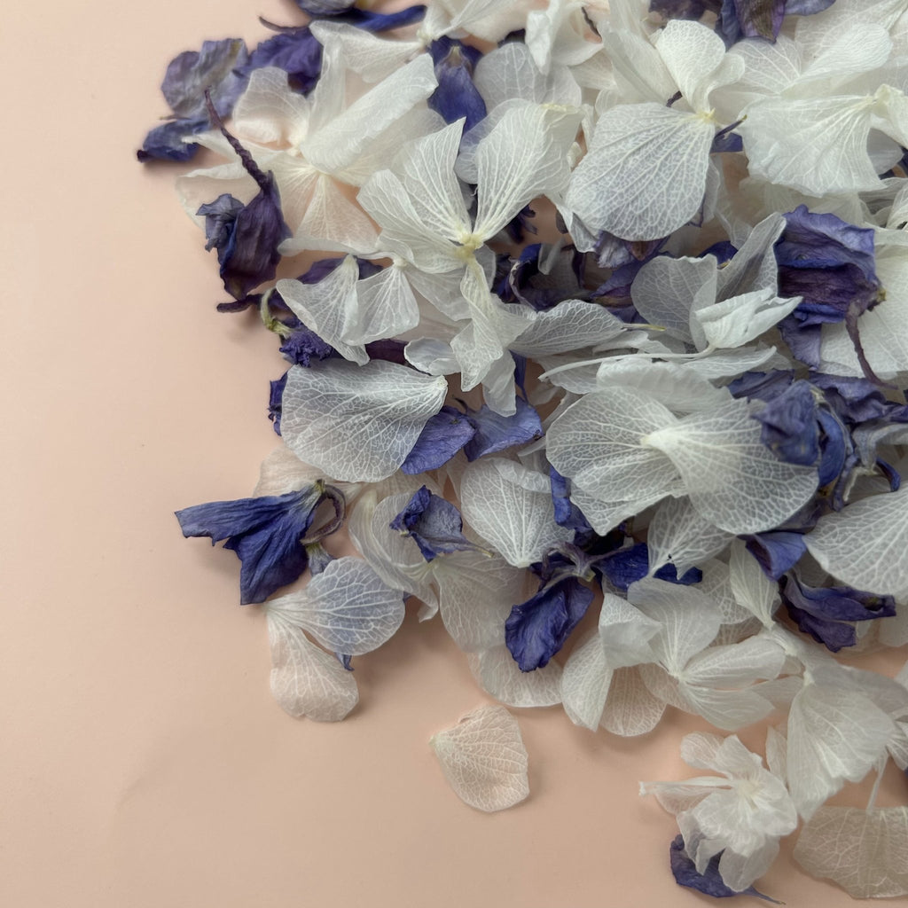 Sparkling Amethyst Confetti - Confetti Bee