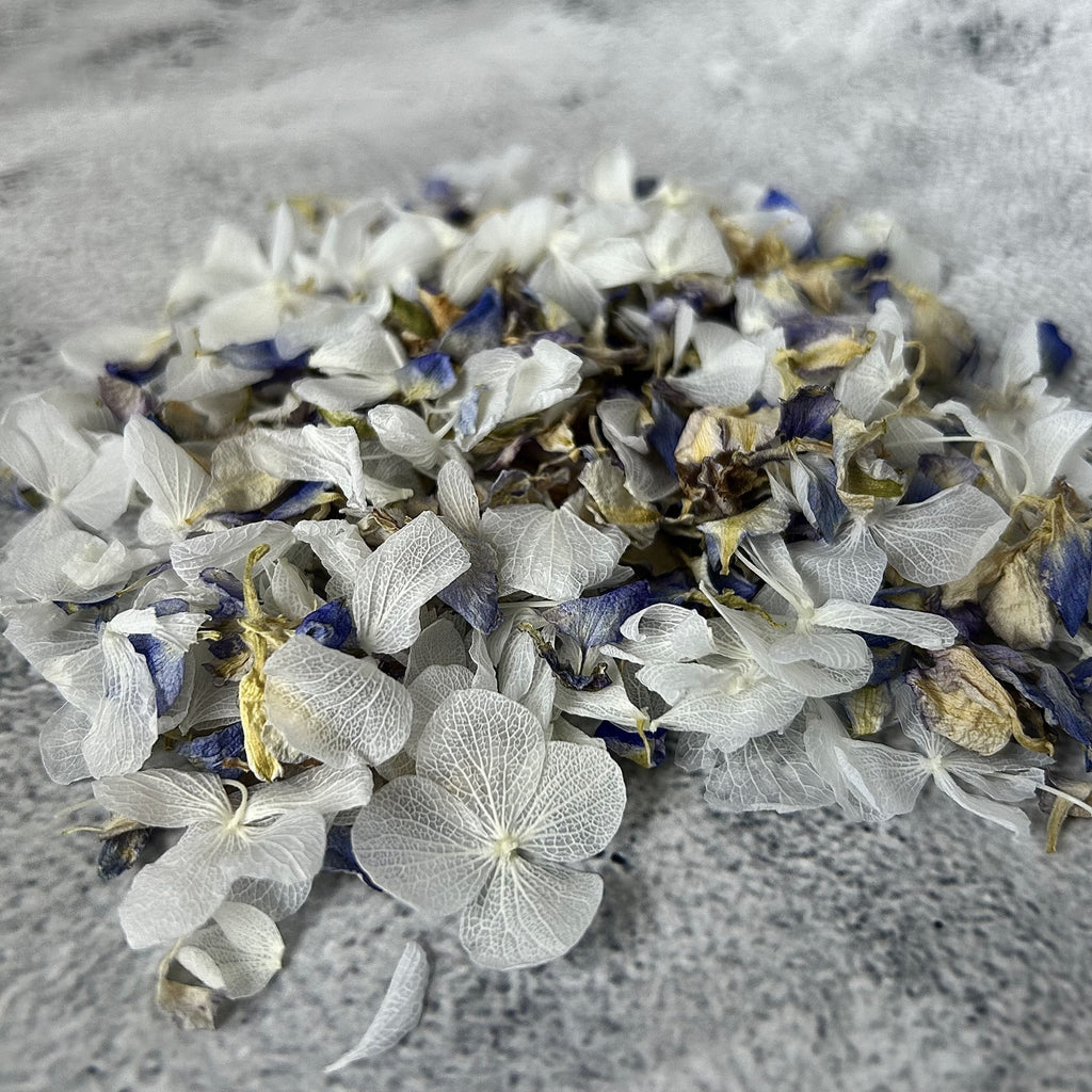 Summer Sky Confetti - Confetti Bee