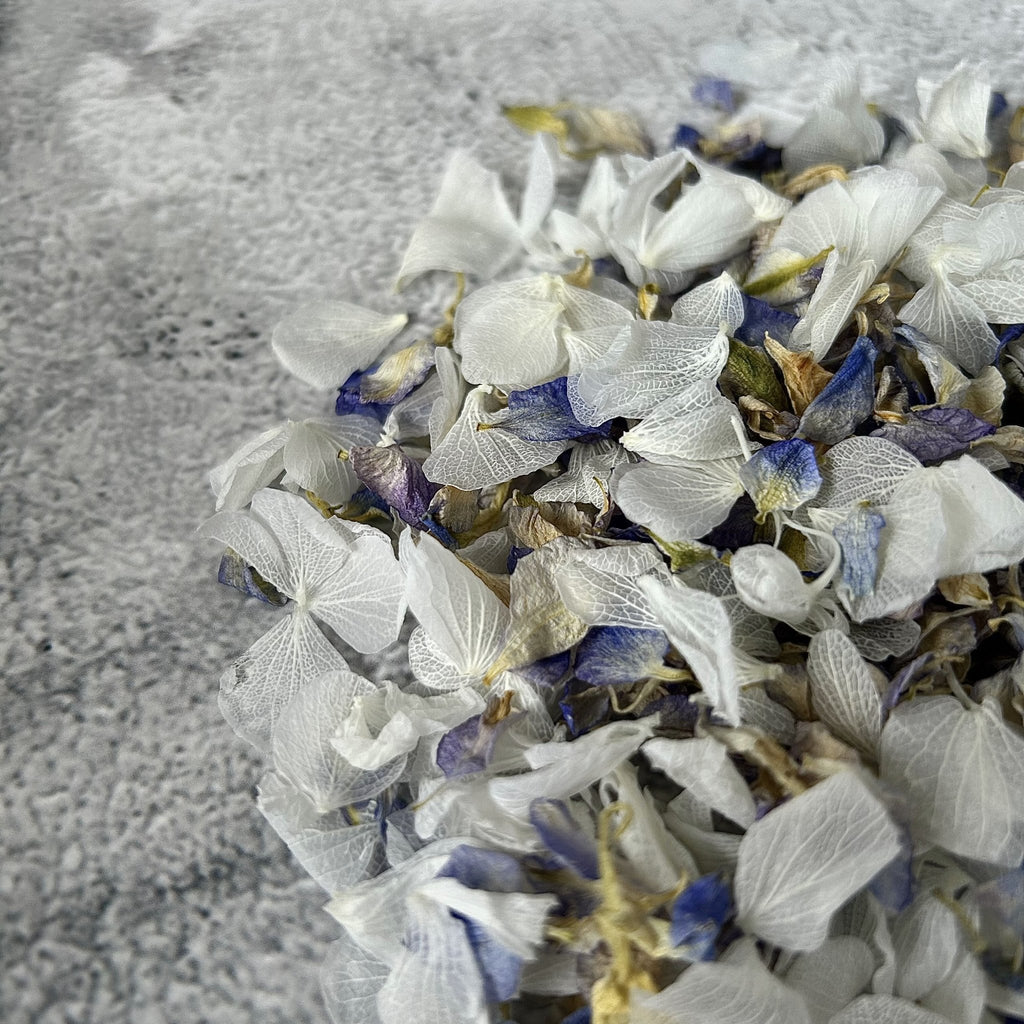 Summer Sky Confetti - Confetti Bee