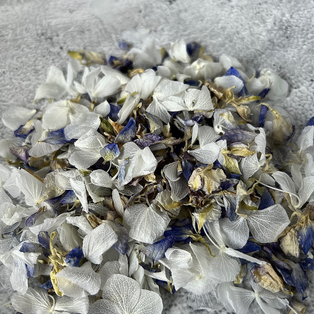 Summer Sky Confetti - Confetti Bee