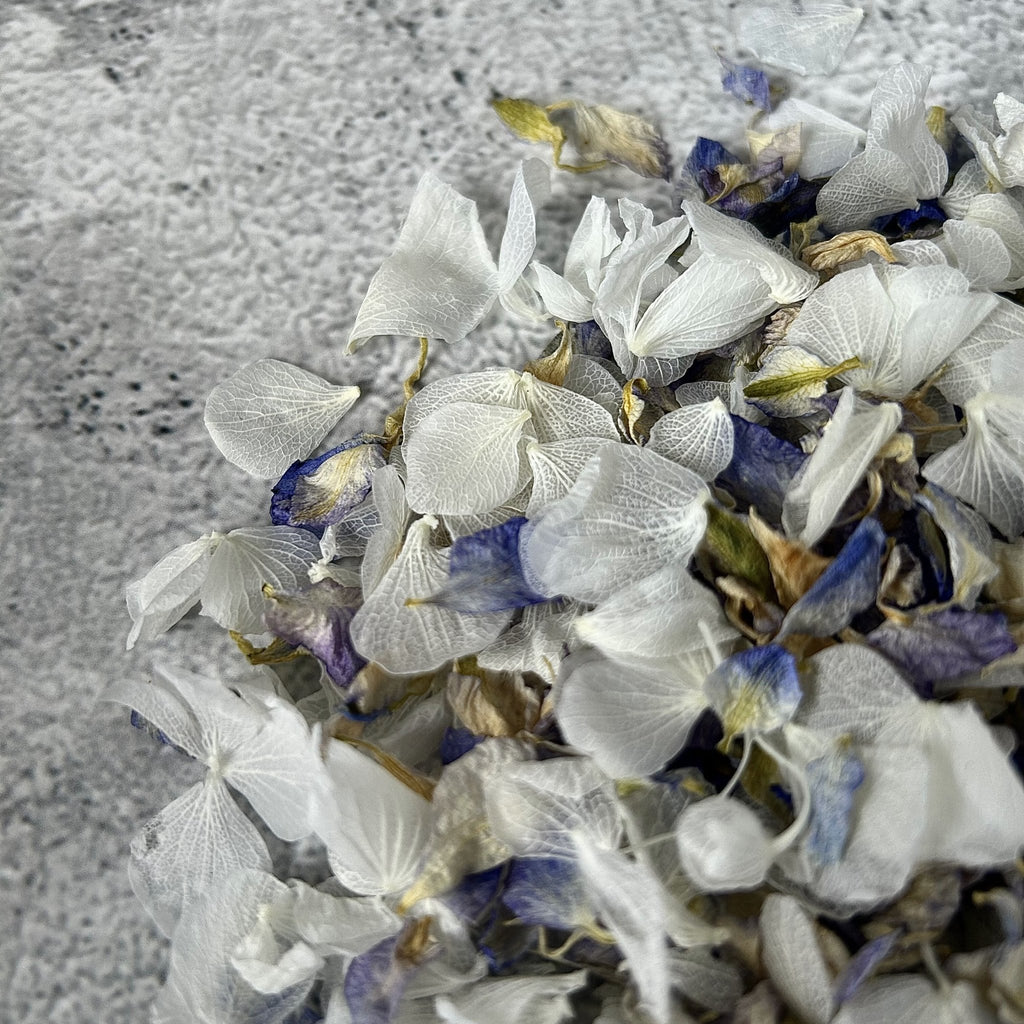 Summer Sky Confetti - Confetti Bee