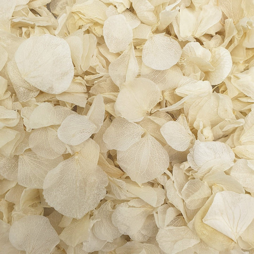 Vintage Ivory Hydrangea Petals - Confetti Bee